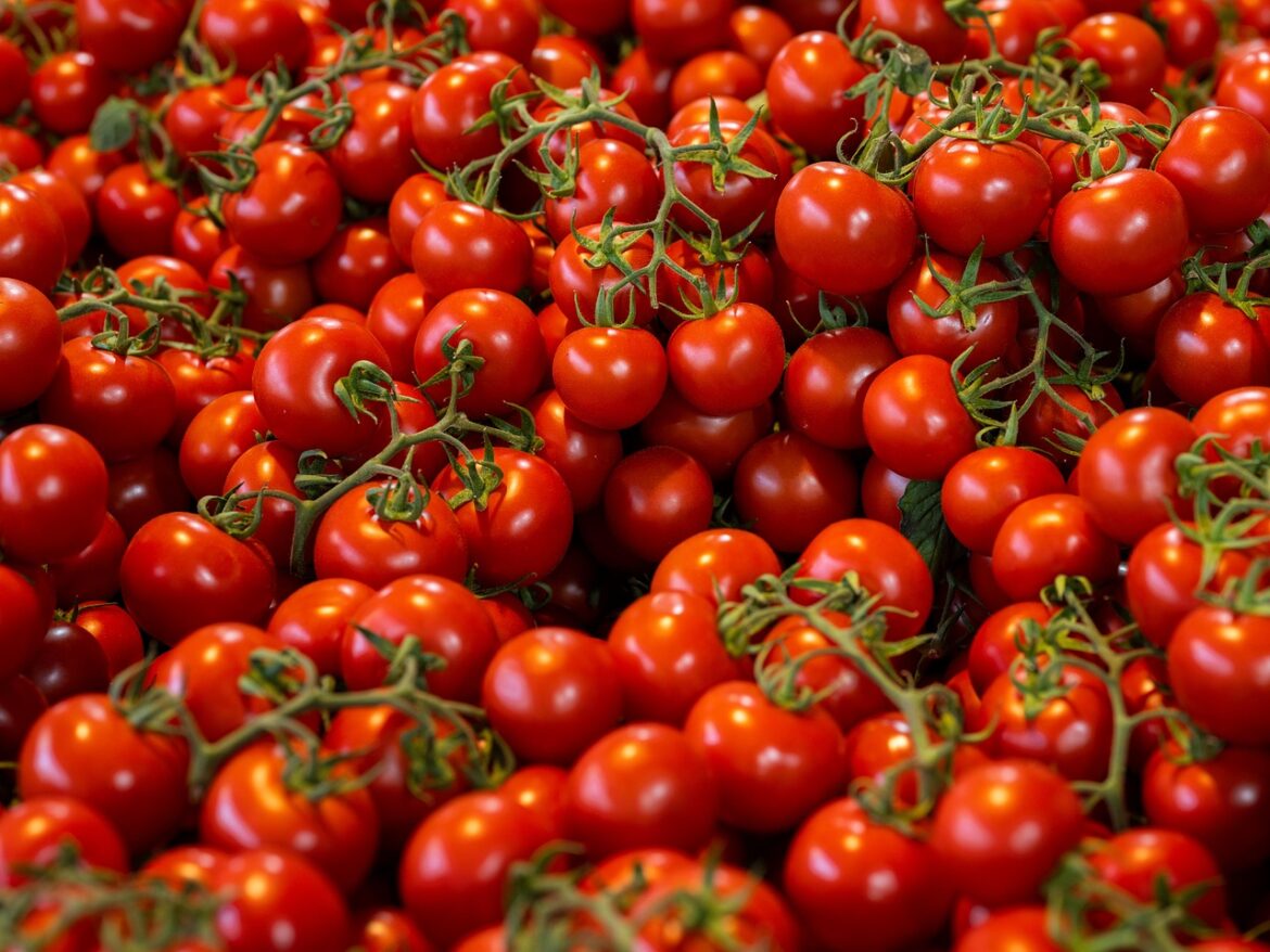 5 Grocery Trends Revolutionizing Admin in 2026