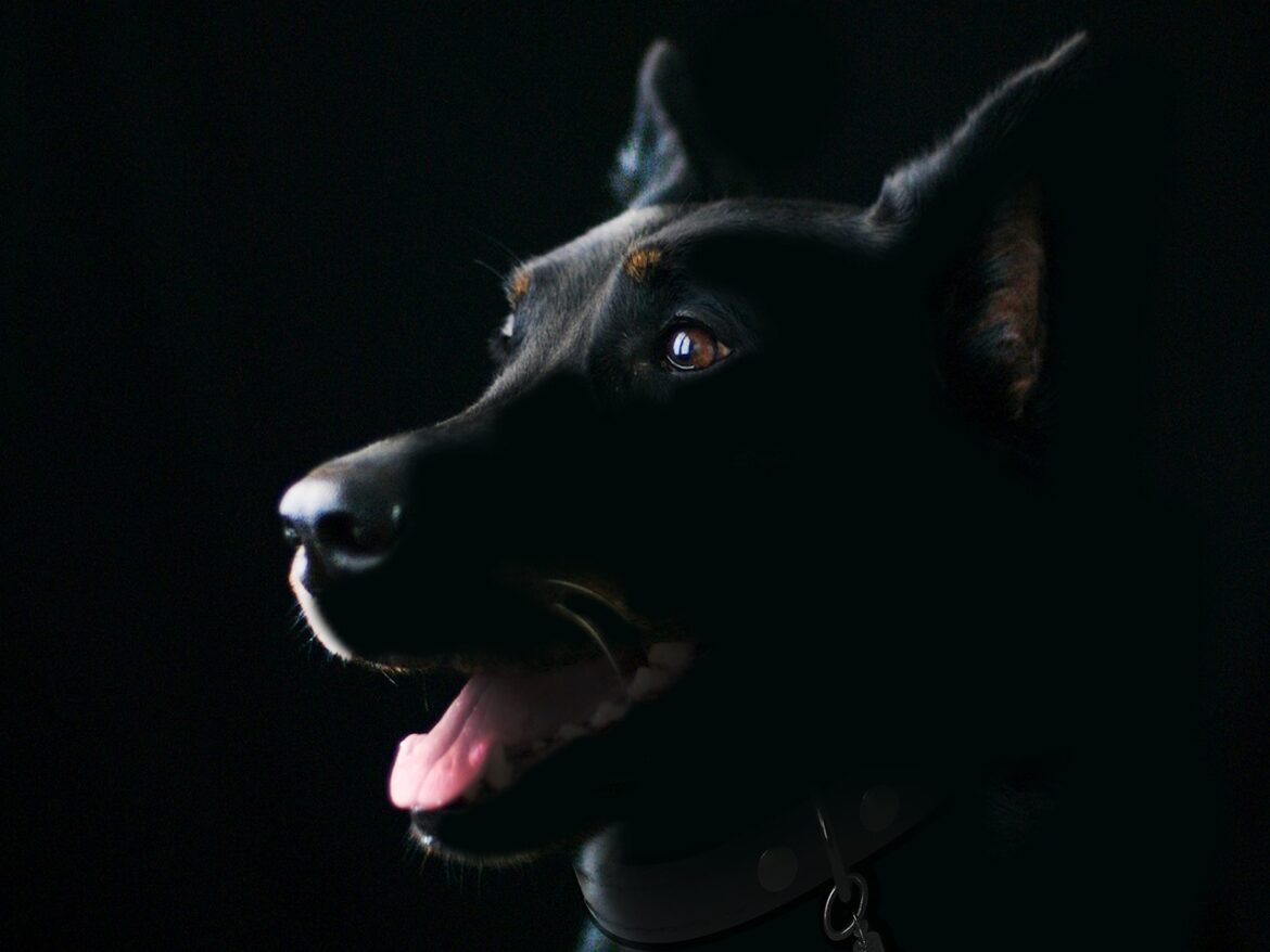 AI Paws Revolution: Vets Embrace Smart Pet Care in 2026