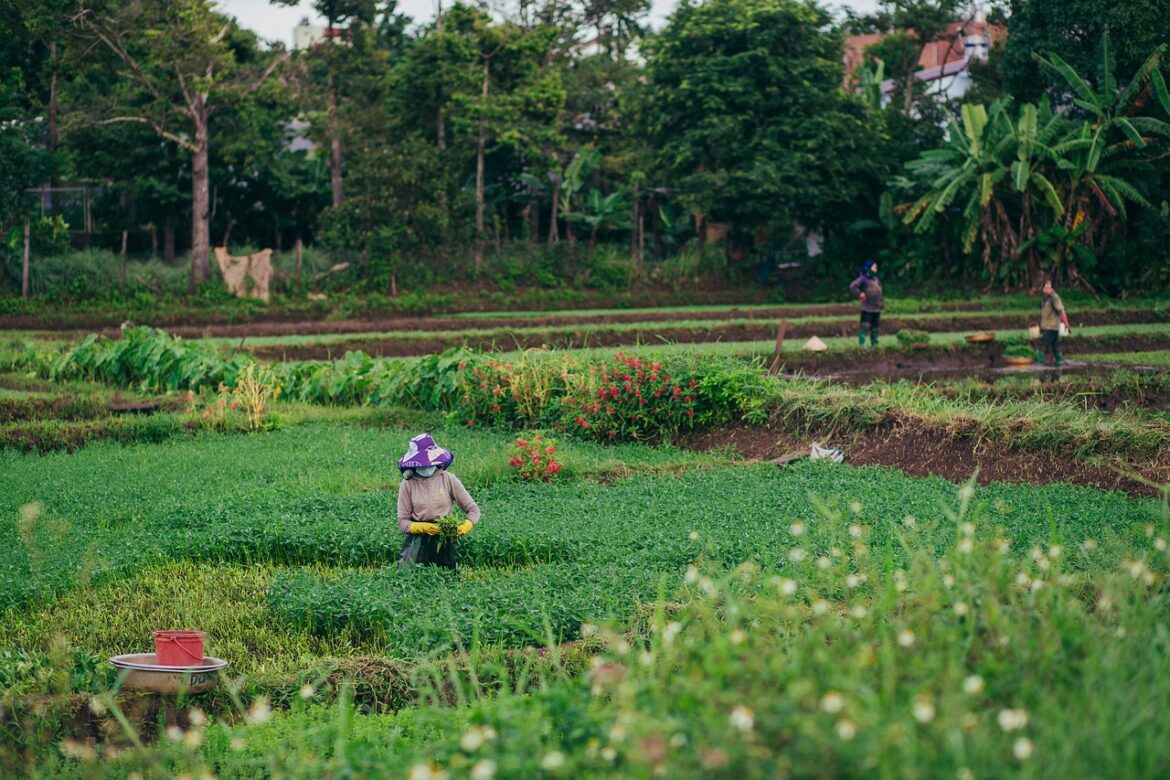 5 Real-World Green Shifts Changing How We Eat And Work