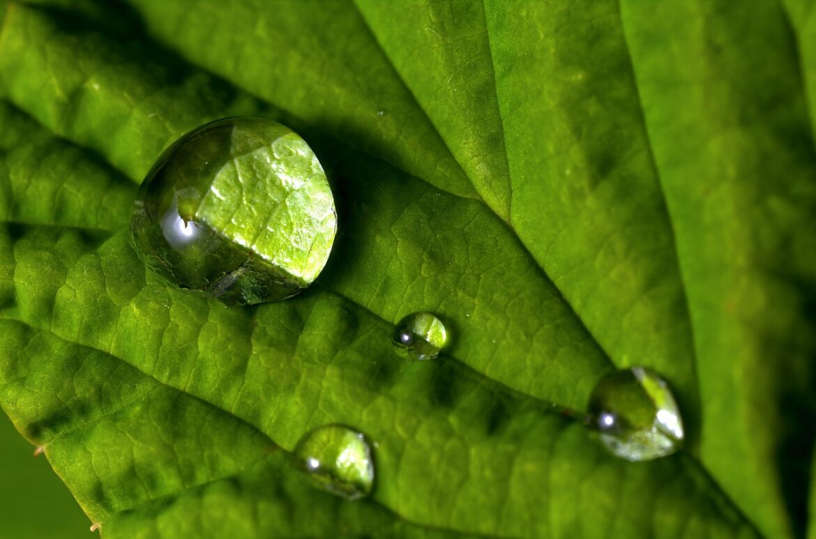 Green Phones Taking Off: 5 Eco Hits