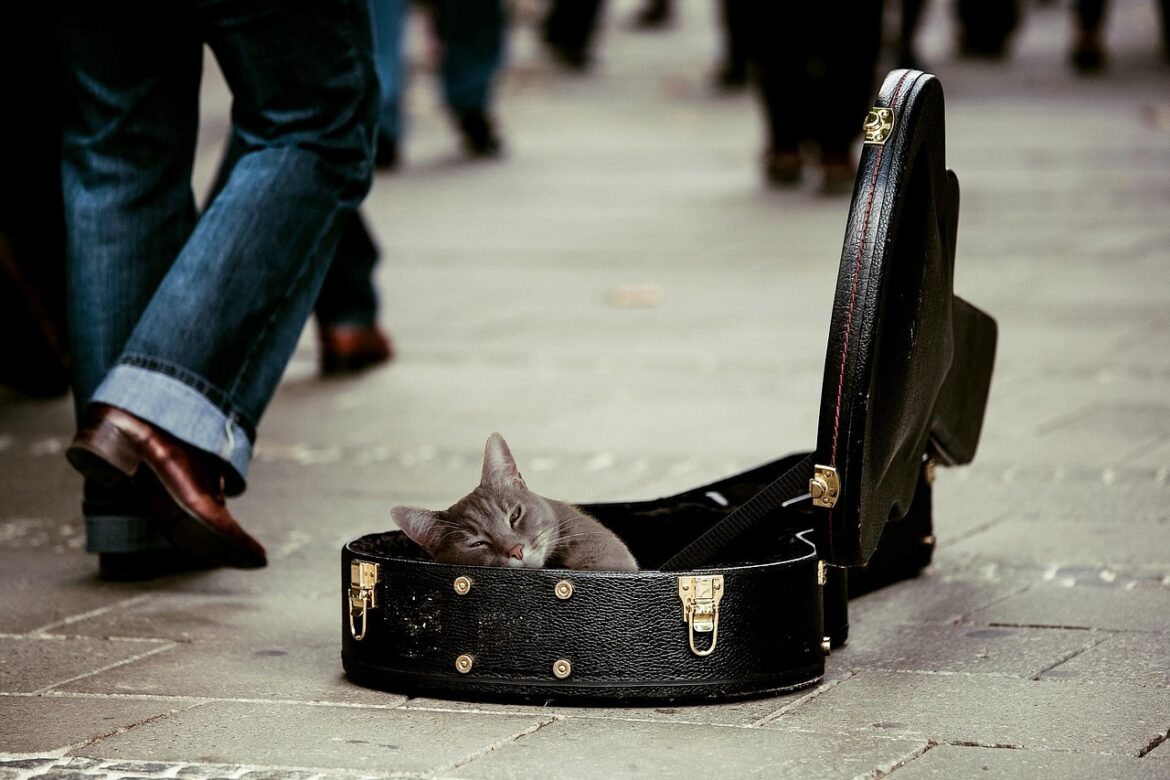 Pet Industry Boom: How Billions Are Reshaping Animal Care in 2026