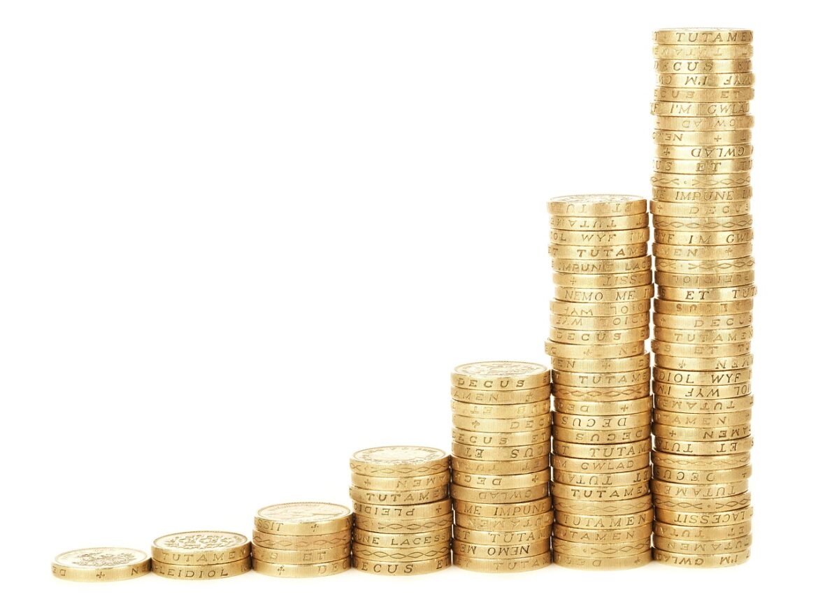 Pet Industry Boom: Where Big Money is Flowing in 2026