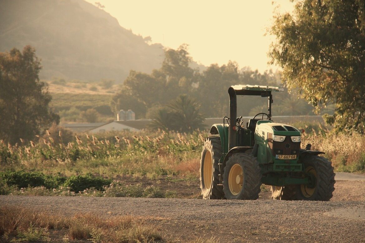 Finance Buzz: Growth Stocks, VC Boom, and Farm Riches in 2026