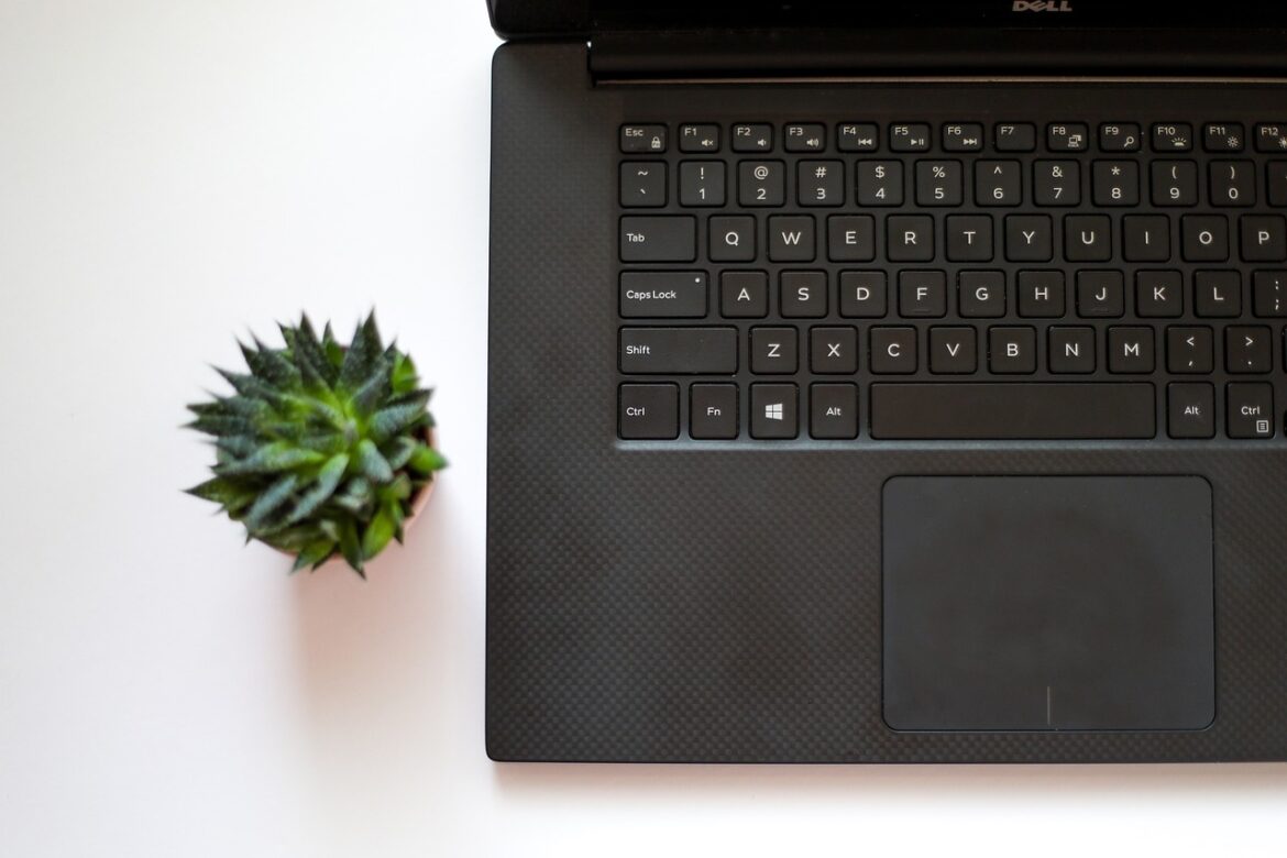 From Greenwashing to Real Action: How Companies Are Actually Delivering on Sustainability