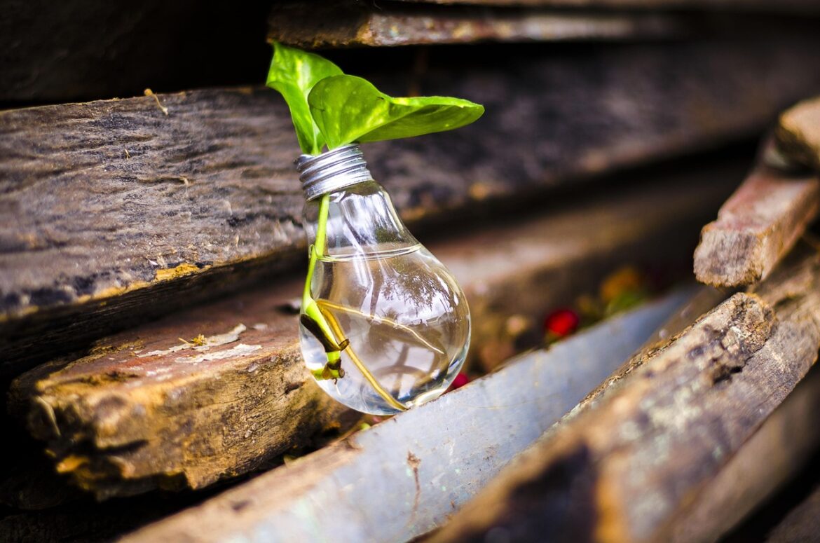 Green Tablet Cases: Eco Heroes of 2026