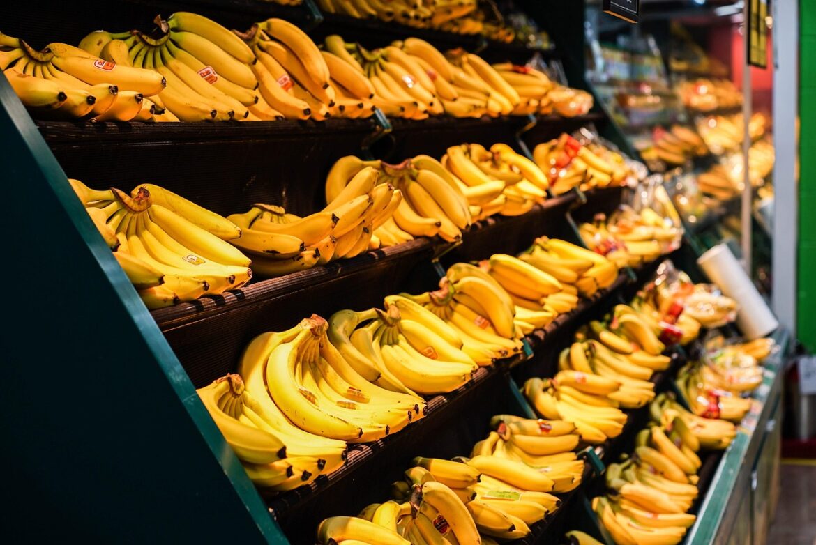 5 Grocery Trends Shaping Smart Shopping in 2026
