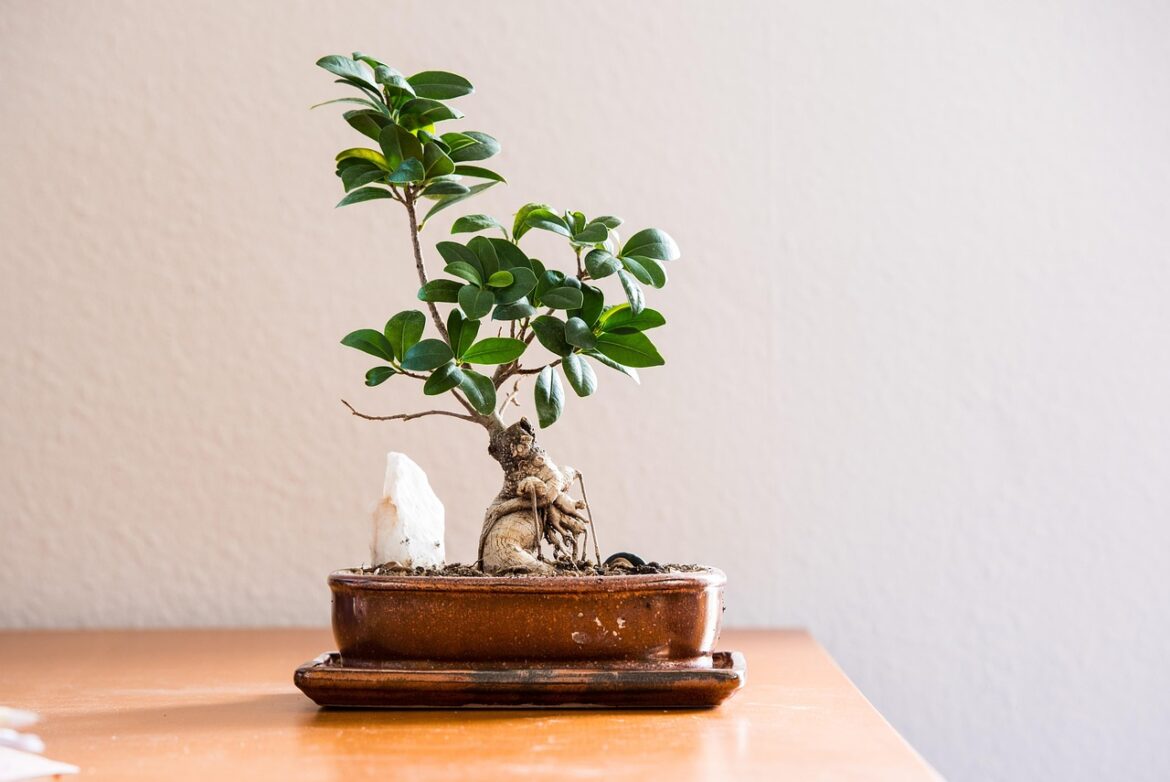 Wellness Homes: Real Estates Mental Health Boost