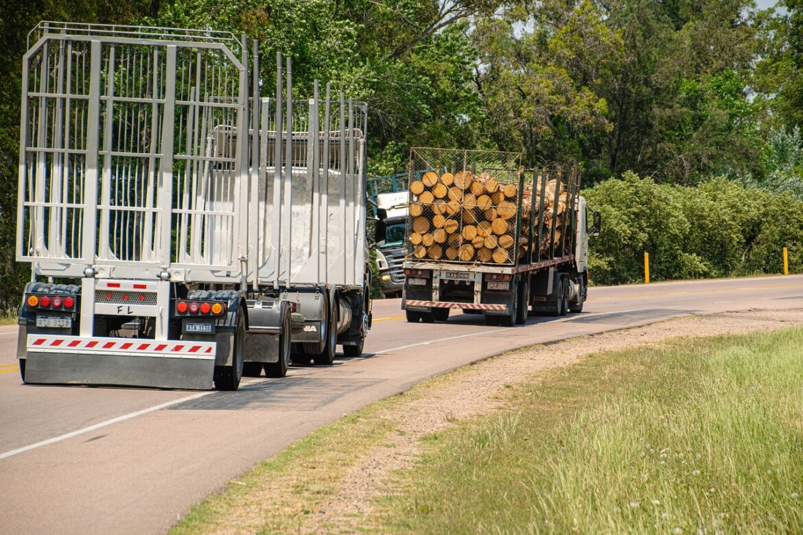 Tariffs and Wars Shake Up Supply Chains