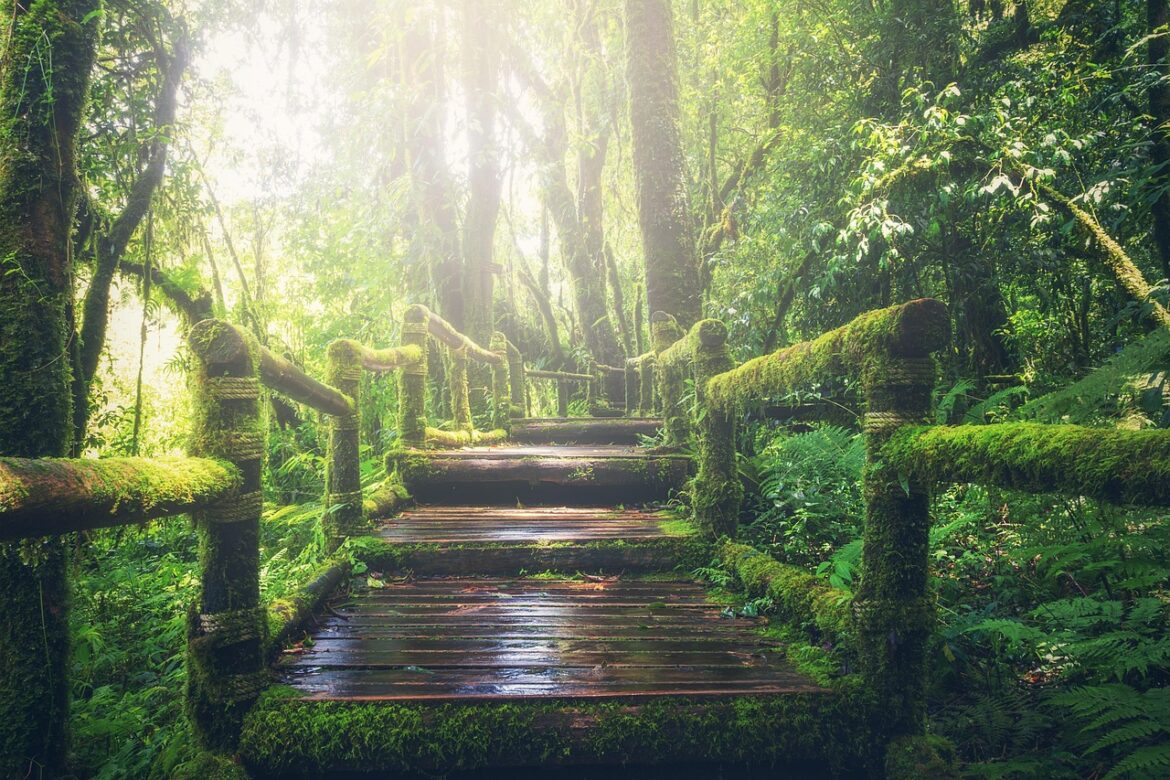 Green Getaways: 2026s Top Sustainable Travel Buzz