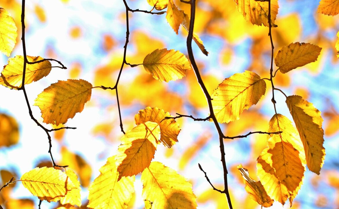 HRs Climate Wake-Up: Top Trends Reshaping Workplaces