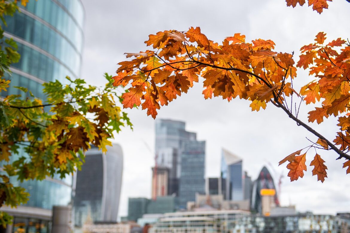 Digital Tools Tackling Climate Crisis Now