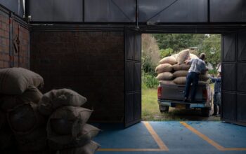 busy warehouse workers loading frozen pallets