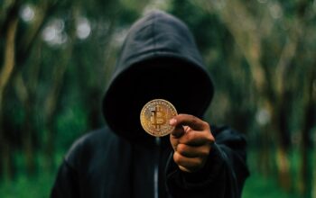 digital shield blocking hacker shadows